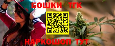 МДПВ Гатчина