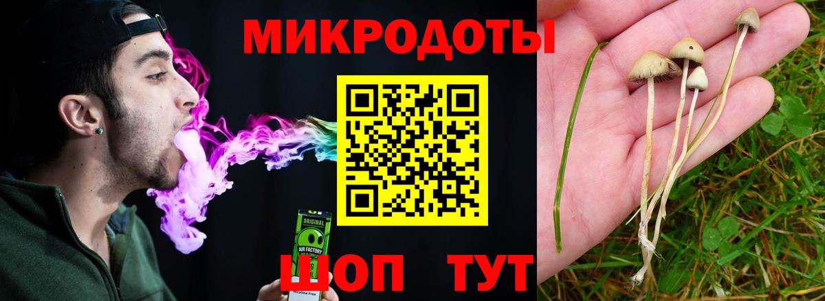 Березники  Галлюциногенные грибы Psilocybine cubensis  сколько стоит  Вход с VPN 